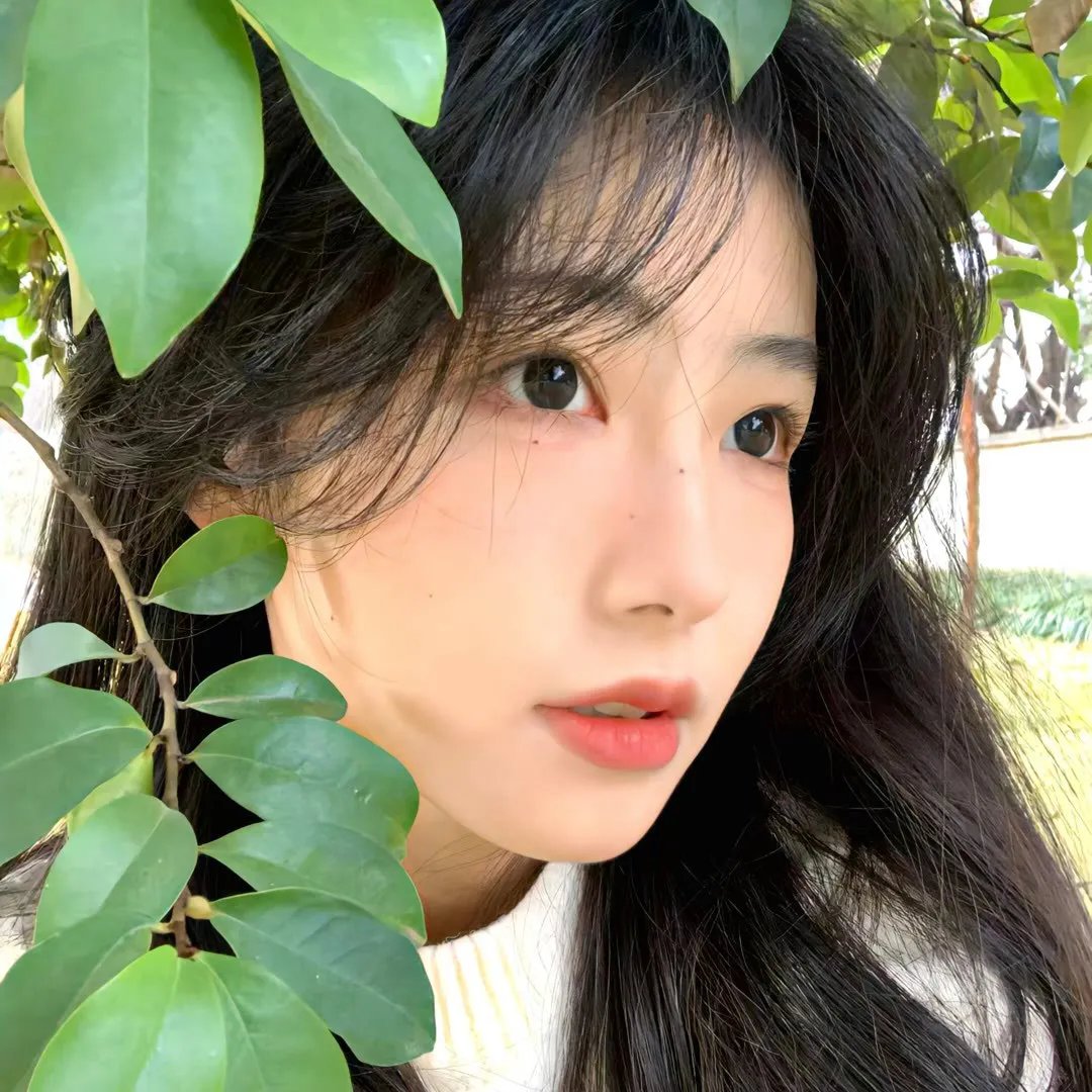 提剑映桃花